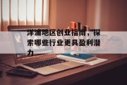 洋浦地区创业指南，探索哪些行业更具盈利潜力