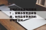 安顺的小生意如何赚钱?,安顺小生意创业指南,如何在竞争激烈的市场中获利 安顺的小生意如何赚钱?,安顺小生意创业指南,如何在竞争激烈的市场中获利