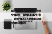 适合年轻人的小生意创业推荐,探索小本生意,适合年轻人的创新创业项目推荐 适合年轻人的小生意创业推荐,探索小本生意,适合年轻人的创新创业项目推荐