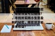 挖掘小生意的利润秘密,哪些项目可以赚钱?,寻找并实践小生意盈利的秘密,哪些项目能带来收益? 挖掘小生意的利润秘密,哪些项目可以赚钱?,寻找并实践小生意盈利的秘密,哪些项目能带来收益?