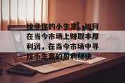 找寻你的小生意,如何在当今市场上赚取丰厚利润,在当今市场中寻找小生意的盈利秘诀 找寻你的小生意,如何在当今市场上赚取丰厚利润,在当今市场中寻找小生意的盈利秘诀