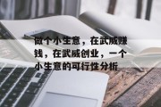 做个小生意,在武威赚钱,在武威创业,一个小生意的可行性分析 做个小生意,在武威赚钱,在武威创业,一个小生意的可行性分析