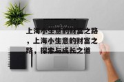 上海小生意的财富之路,上海小生意的财富之路,探索与成长之道 上海小生意的财富之路,上海小生意的财富之路,探索与成长之道