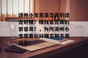 漳州小生意是否真的适合好赚?赚钱是否真的很容易?,为何漳州小生意看似好赚实则不易经营?