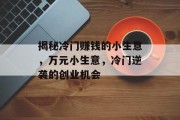 揭秘冷门赚钱的小生意,万元小生意,冷门逆袭的创业机会 揭秘冷门赚钱的小生意,万元小生意,冷门逆袭的创业机会
