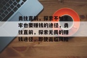 勇往直前,探索不怕坐牢也要赚钱的途径,勇往直前,探索无畏的赚钱途径,即使面临风险