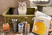 养猫必买的东西有哪些最值得买的