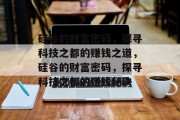 硅谷的财富密码,探寻科技之都的赚钱之道,硅谷的财富密码,探寻科技之都的赚钱秘诀