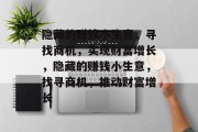 隐藏的赚钱小生意,寻找商机,实现财富增长,隐藏的赚钱小生意,找寻商机,推动财富增长
