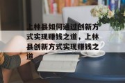 上林县如何通过创新方式实现赚钱之道,上林县创新方式实现赚钱之道