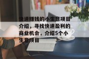 快速赚钱的小生意项目介绍,寻找快速盈利的商业机会,介绍5个小生意项目 快速赚钱的小生意项目介绍,寻找快速盈利的商业机会,介绍5个小生意项目