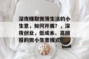 深夜赚取微薄生活的小生意,如何开展?,深夜创业,低成本、高回报的微小生意模式 深夜赚取微薄生活的小生意,如何开展?,深夜创业,低成本、高回报的微小生意模式