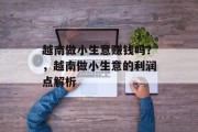 越南做小生意赚钱吗？，越南做小生意的利润点解析