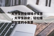 大学生创业赚钱小生意，大学生创业，轻松赚取财富的小生意