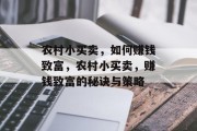 农村小买卖,如何赚钱致富,农村小买卖,赚钱致富的秘诀与策略 农村小买卖,如何赚钱致富,农村小买卖,赚钱致富的秘诀与策略