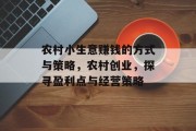 农村小生意赚钱的方式与策略，农村创业，探寻盈利点与经营策略
