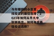 今年赚钱的小生意，寻找投资的最佳选择，2023年如何从平凡中脱颖而出，如何寻求最佳投资选择？