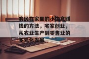 农民在家里的小生意赚钱的方法,宅家创业,从农业生产到零售业的多元化发展 农民在家里的小生意赚钱的方法,宅家创业,从农业生产到零售业的多元化发展