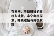 在阜宁,寻找赚钱的商机与途径,阜宁商机探索,赚钱途径与商机发现