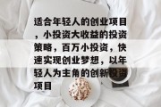 适合年轻人的创业项目，小投资大收益的投资策略，百万小投资，快速实现创业梦想，以年轻人为主角的创新投资项目