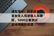 浦东发布:四家企业获首批无人驾驶载人车牌照,5000公里测试后或商业化运营