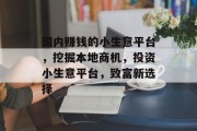 国内赚钱的小生意平台，挖掘本地商机，投资小生意平台，致富新选择
