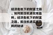 经济危机下的财富之路,如何抓住机遇实现盈利,经济危机下的财富之路,抓住机遇实现盈利的秘诀