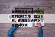 如何利用现金进行小生意的赚钱策略,创业实战,运用现金进行小生意盈利模式