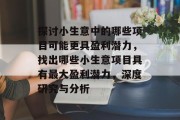 探讨小生意中的哪些项目可能更具盈利潜力，找出哪些小生意项目具有最大盈利潜力，深度研究与分析