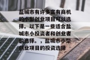 盐城市有许多富有商机的小型创业项目可以选择。以下是一些适合盐城市小投资者和创业者的选择。,盐城市小型创业项目的投资选择