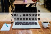 在宜宾投资小生意赚多少钱？，宜宾投资创业，小生意盈利方式与潜力