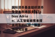 国际货币基金组织货币及资本市场部主任Tobias Adrian:人工智能被用来提高效率的时候,像是一场拔河比赛