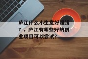 庐江什么小生意好赚钱?,庐江有哪些好的创业项目可以尝试?