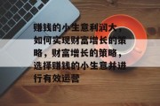 赚钱的小生意利润大,如何实现财富增长的策略,财富增长的策略,选择赚钱的小生意并进行有效运营 赚钱的小生意利润大,如何实现财富增长的策略,财富增长的策略,选择赚钱的小生意并进行有效运营