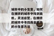城市中的小生意,如何在拥挤的城市中找到商机,灵活运营,在拥挤的城市中寻找商业机会的小生意方法 城市中的小生意,如何在拥挤的城市中找到商机,灵活运营,在拥挤的城市中寻找商业机会的小生意方法