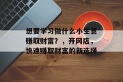 想要学习做什么小生意赚取财富?,开网店,快速赚取财富的新选择 想要学习做什么小生意赚取财富?,开网店,快速赚取财富的新选择
