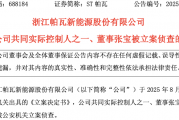 ST帕瓦实控人被立案侦查!占用公司资金近2亿元