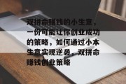 双拼命赚钱的小生意，一份可能让你创业成功的策略，如何通过小本生意实现逆袭，双拼命赚钱创业策略