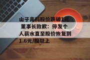 山子高科股价跌破1元 董事长致歉:停发个人薪水直至股价恢复到1.6元/股以上
