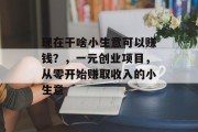 现在干啥小生意可以赚钱？，一元创业项目，从零开始赚取收入的小生意