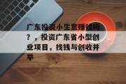 广东投资小生意赚钱吗?,投资广东省小型创业项目,找钱与创收并举 广东投资小生意赚钱吗?,投资广东省小型创业项目,找钱与创收并举