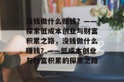 没钱做什么赚钱？——探索低成本创业与财富积累之路，没钱做什么赚钱？——低成本创业与财富积累的探索之路