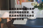 农民兄弟如何通过多种途径实现增收致富,农民兄弟如何多元化途径实现增收致富