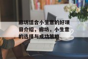 廊坊适合小生意的好项目介绍，廊坊，小生意的选择与成功策略