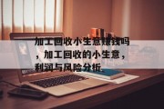 加工回收小生意赚钱吗,加工回收的小生意,利润与风险分析 加工回收小生意赚钱吗,加工回收的小生意,利润与风险分析
