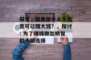 探索,镇里做什么小生意可以赚大钱?,探讨: 为了赚钱做出明智的小镇选择