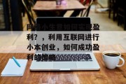 网络小生意如何实现盈利？，利用互联网进行小本创业，如何成功盈利的策略