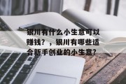 银川有什么小生意可以赚钱？，银川有哪些适合新手创业的小生意?