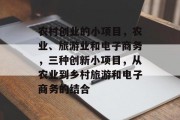 农村创业的小项目,农业、旅游业和电子商务,三种创新小项目,从农业到乡村旅游和电子商务的结合