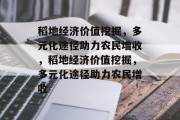 稻地经济价值挖掘,多元化途径助力农民增收,稻地经济价值挖掘,多元化途径助力农民增收